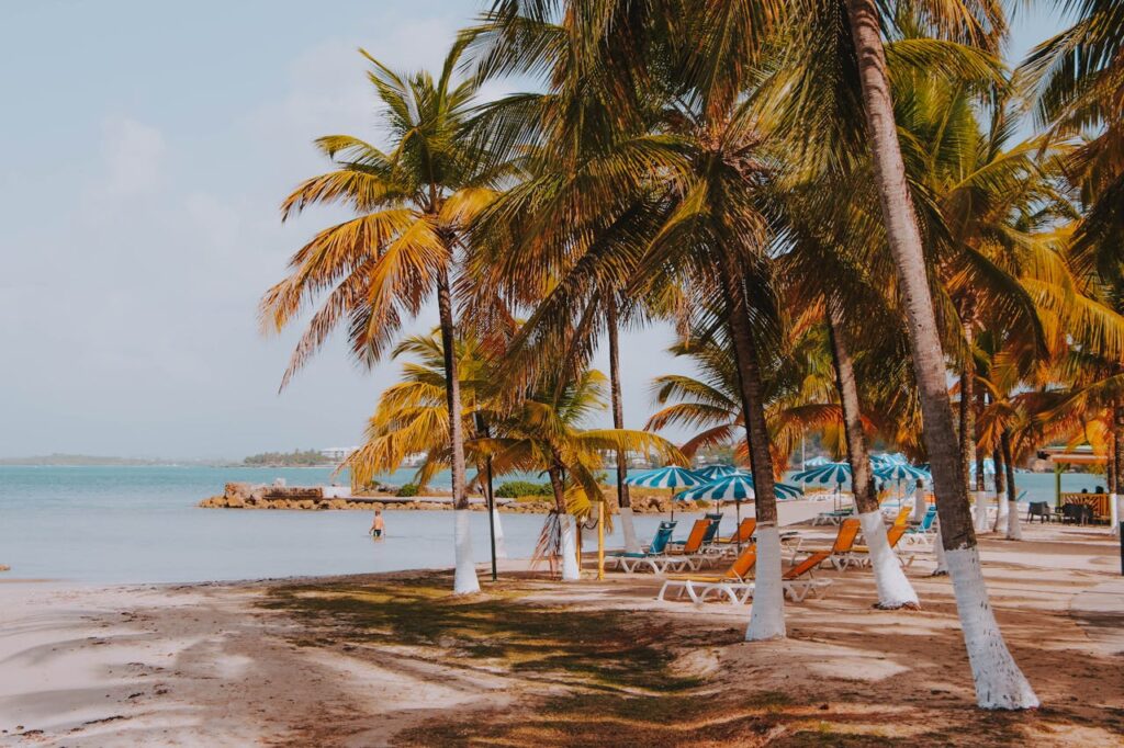 Relaxing tropical beach in Guadeloupe with palm trees and sun loungers under umbrellas.