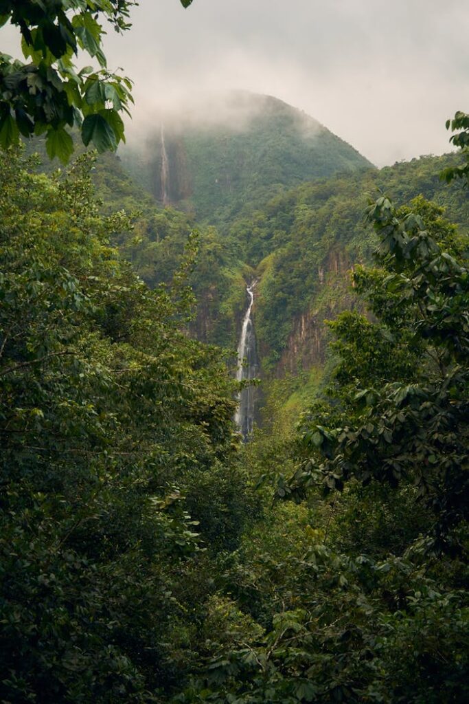 Discover the serene beauty of a hidden waterfall in a lush, foggy jungle setting.