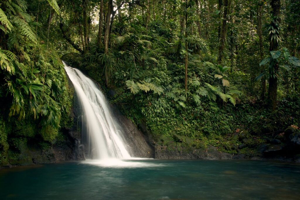 Peaceful waterfall amidst vibrant greenery in Guadeloupes rainforest.