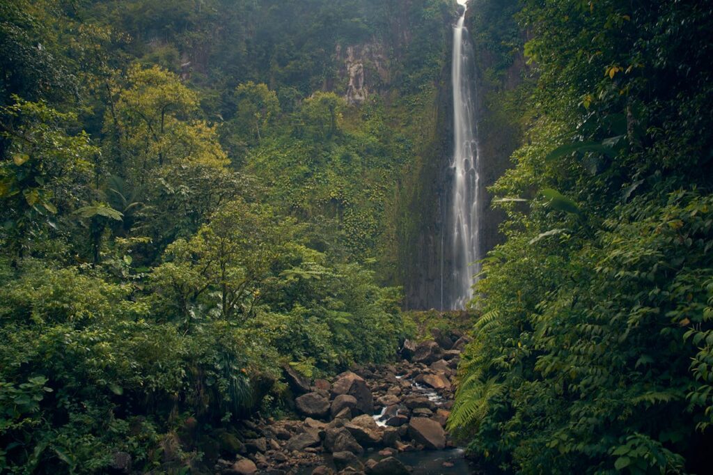 Captivating waterfall cascading in a vibrant tropical rainforest scene